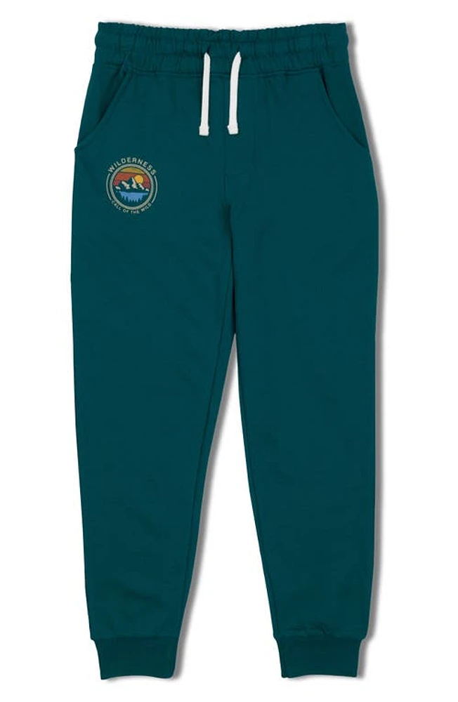 Threads 4 Thought Kids' Call of the Wild Graphic Sweatpants Sea Dragon at Nordstrom,