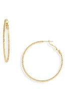 Nordstrom Demifine Textured Hoop Earrings in 14K Gold Plated at Nordstrom