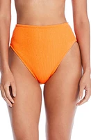 Rod Beattie High Waist Bikini Bottoms at Nordstrom,