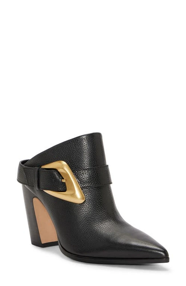 Vince Camuto Bailey Pointed Toe Mule at Nordstrom,