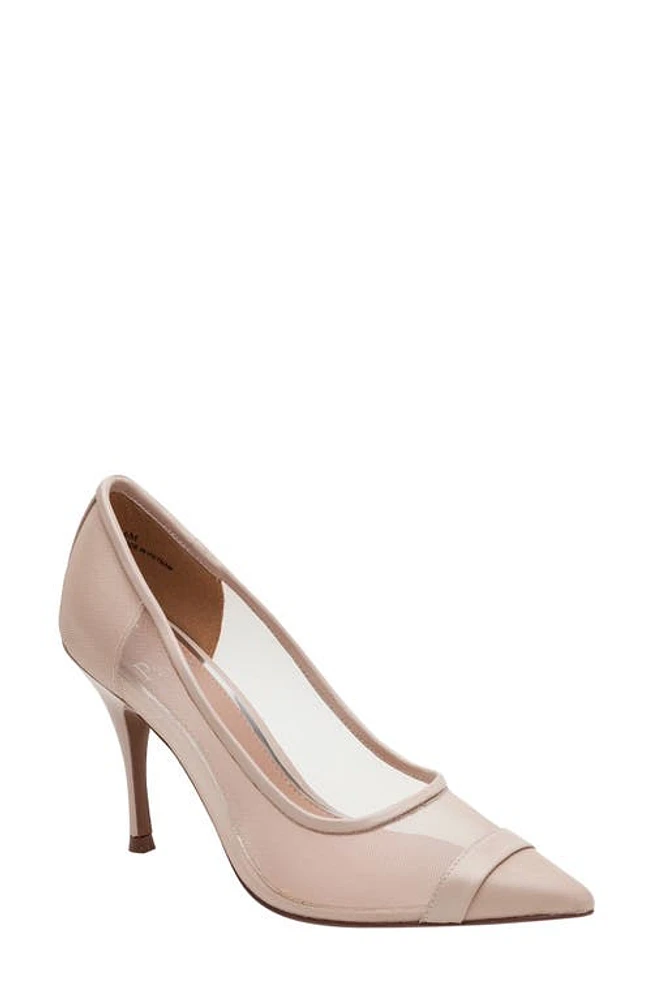 Linea Paolo Persia Pointed Toe Pump at Nordstrom,