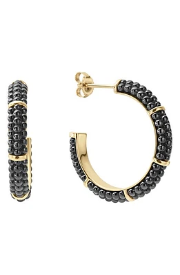 LAGOS Gold & Black Caviar Hoop Earrings at Nordstrom