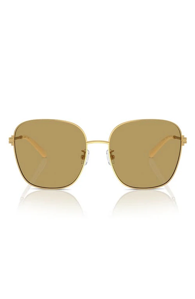 Tory Burch 57mm Square Sunglasses in Gold at Nordstrom