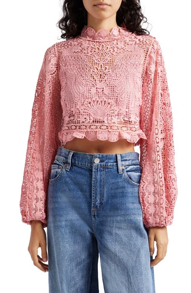 FARM Rio Guipure Long Sleeve Crop Top in Blush Pink at Nordstrom, Size X-Large