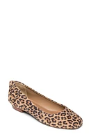 BERNARDO FOOTWEAR Eloisa Flat at Nordstrom,