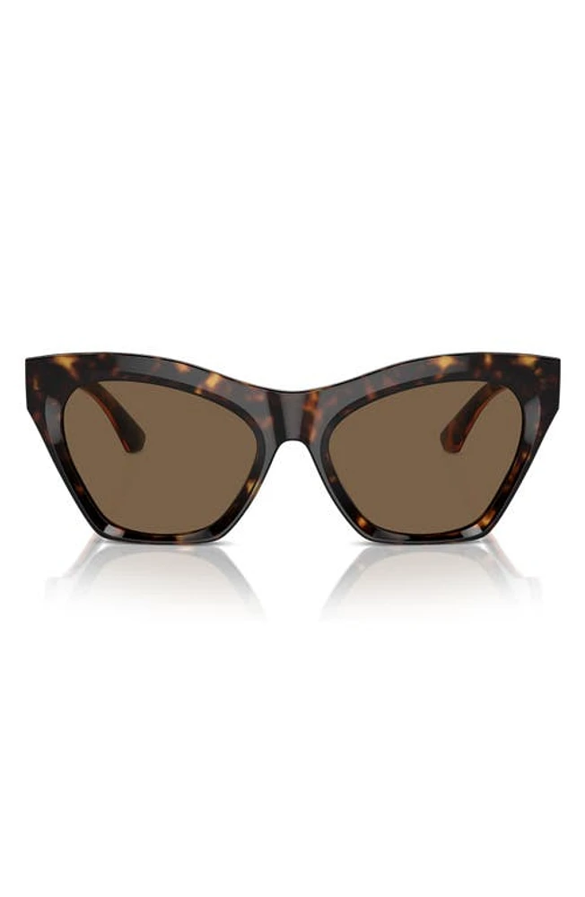 burberry 55mm Cat Eye Sunglasses in Dark Havana at Nordstrom