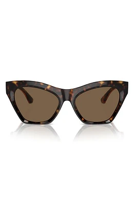 burberry 55mm Cat Eye Sunglasses in Dark Havana at Nordstrom