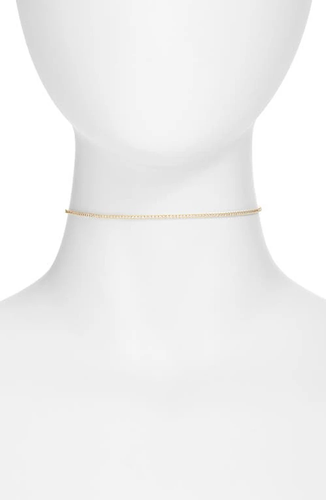 SHYMI Celine Tennis Choker Necklace in Gold at Nordstrom