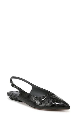 SARTO by Franco Sarto Emma Pointed Toe Slingback Flat in Black at Nordstrom, Size 10