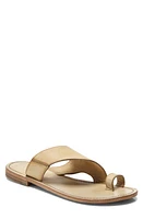 Free People Sant Antoni Sandal at Nordstrom,