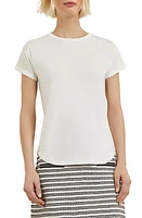 Misook Classic Crewneck T-Shirt at Nordstrom,