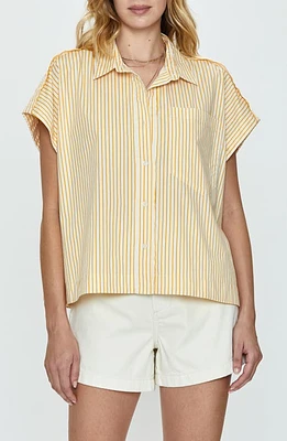 Pistola Cara Stripe Short Sleeve Shirt Marigold at Nordstrom,