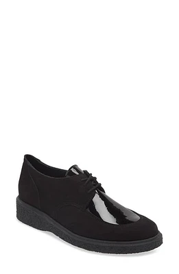 Arche Johiro Derby in Noir at Nordstrom, Size 10Us