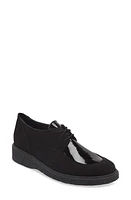 Arche Johiro Derby in Noir at Nordstrom, Size 10Us