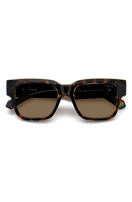 Polaroid 52mm Polarized Square Sunglasses in Havana/Bronze Polarized at Nordstrom