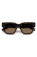 Polaroid 52mm Polarized Square Sunglasses in Havana/Bronze Polarized at Nordstrom