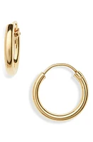 Argento Vivo Sterling Silver Argento Vivo Milano Sterling Hoop Earrings in Gold at Nordstrom