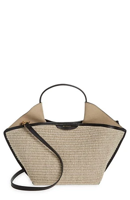 Ree Projects Mini Anne Raffia Tote in Raffia /Black at Nordstrom