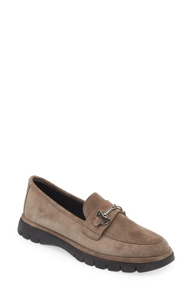 The FLEXX Chic Too Bit Loafer at Nordstrom,