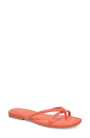 Dolce Vita Lucca Flip Flop at Nordstrom,