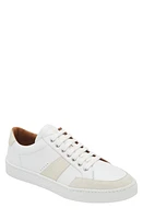 ARMANDO CABRAL Talico Sneaker at Nordstrom,