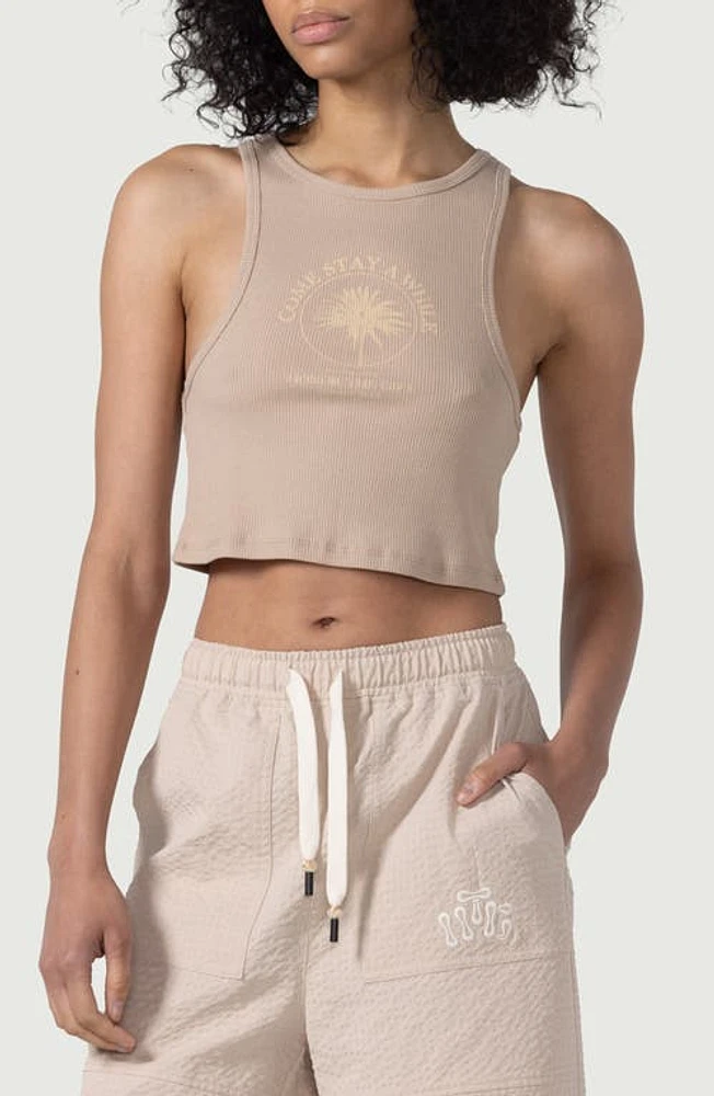 HONOR THE GIFT Rib Crop Graphic Tank Oatmeal at Nordstrom,