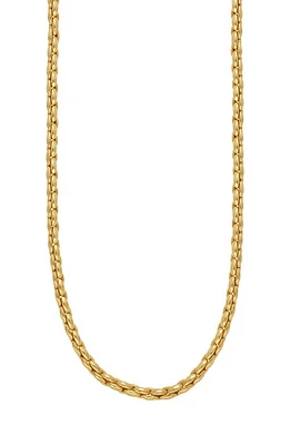 Bony Levy 14K Gold Bead Necklace in 14K Yellow Gold at Nordstrom, Size 18