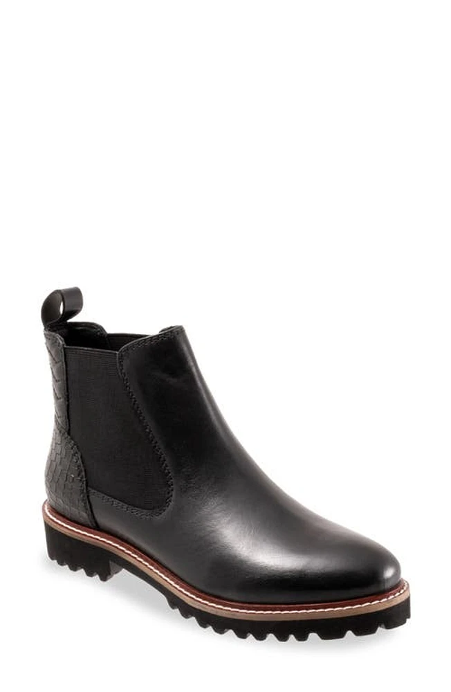 SoftWalk Indy Chelsea Boot Black at Nordstrom,