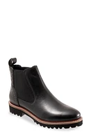 SoftWalk Indy Chelsea Boot Black at Nordstrom,