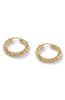 John Hardy Classic Chain Small Hoop Earrings in Gold at Nordstrom