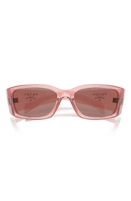 Prada 60mm Symbole Butterfly Sunglasses in Pink/Lite Brown at Nordstrom