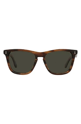 Oliver Peoples Lynes 55mm Polarized Pillow Sunglasses in Dark Tortoise at Nordstrom