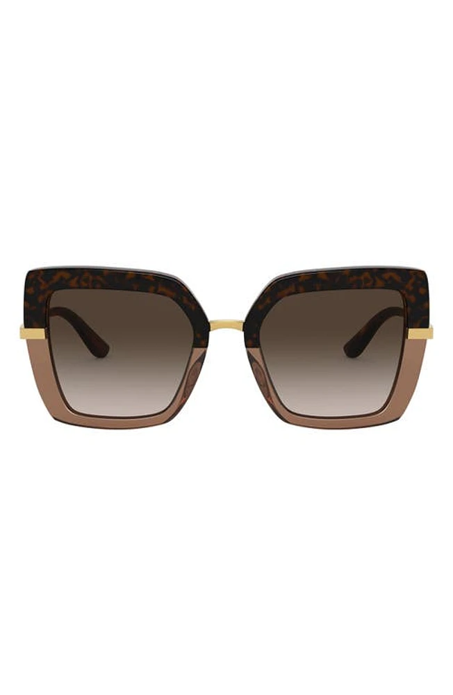 Dolce & Gabbana 52mm Square Sunglasses in Top Havana/Brown Grad at Nordstrom