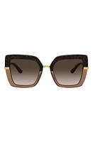 Dolce & Gabbana 52mm Square Sunglasses in Top Havana/Brown Grad at Nordstrom