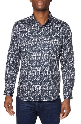 Robert Graham Hawking Skull Print Cotton Button-Up Shirt Black at Nordstrom,