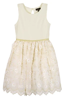 Zunie Kids' Embroidered Party Dress Ivory/Gold at Nordstrom,