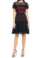 Shani Ombré Lace Fit & Flare Dress at Nordstrom,