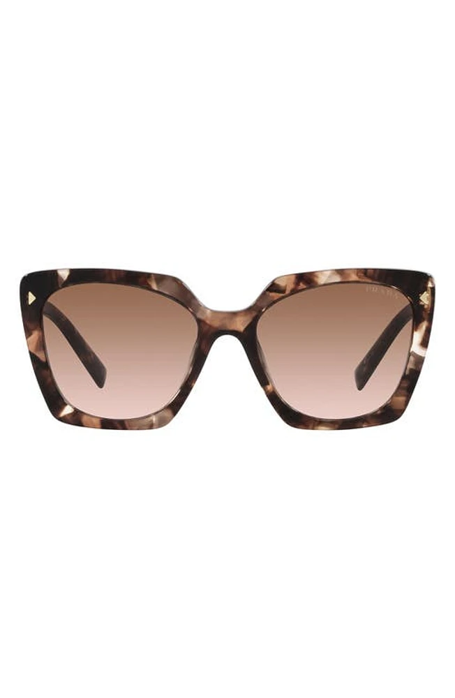 Prada 52mm Square Sunglasses in Brown Tort at Nordstrom