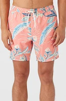 O'Neill Hermosa Swim Trunks at Nordstrom,