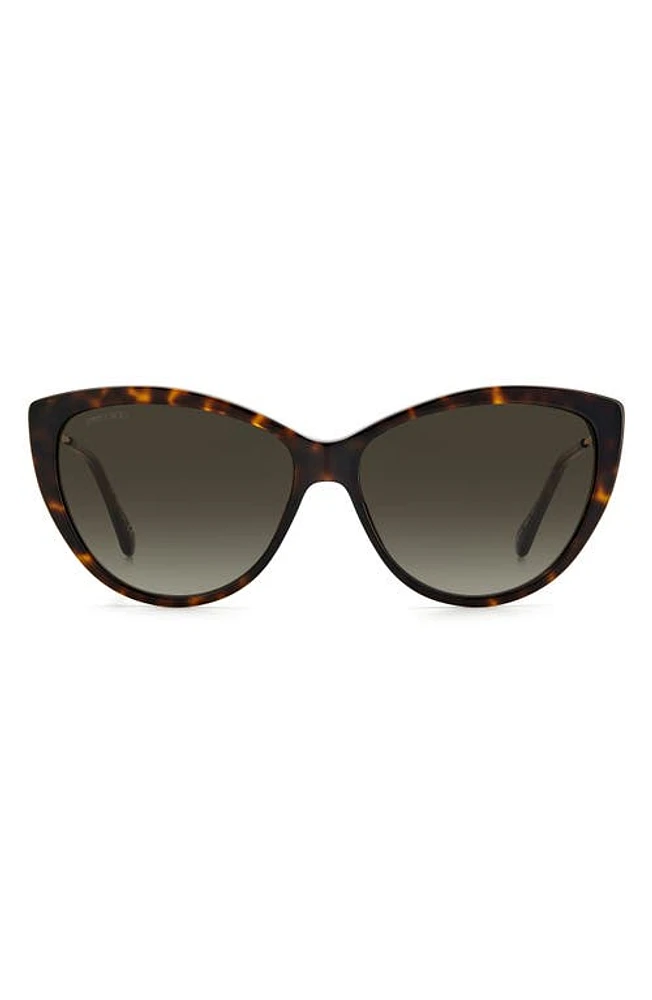 Jimmy Choo 60mm Cat Eye Sunglasses in Havana /Brown Gradient at Nordstrom