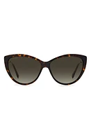 Jimmy Choo 60mm Cat Eye Sunglasses in Havana /Brown Gradient at Nordstrom