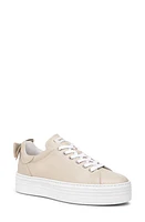 NeroGiardini Bow Platform Skate Sneaker at Nordstrom