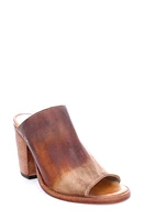 Bed Stu Clavel Peep Toe Mule at Nordstrom,