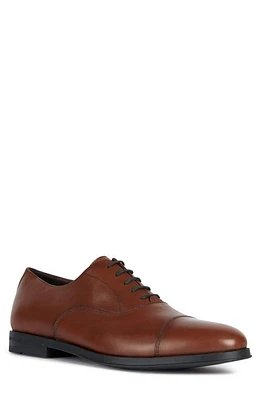 Geox Decio Water Resistant Cap Toe Oxford at Nordstrom,