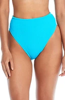 Rod Beattie High Waist Bikini Bottoms at Nordstrom,