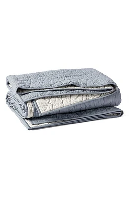 Coyuchi Manzanita Hand Stitched Organic Cotton Quilt in Steel Blue at Nordstrom, Size Euro