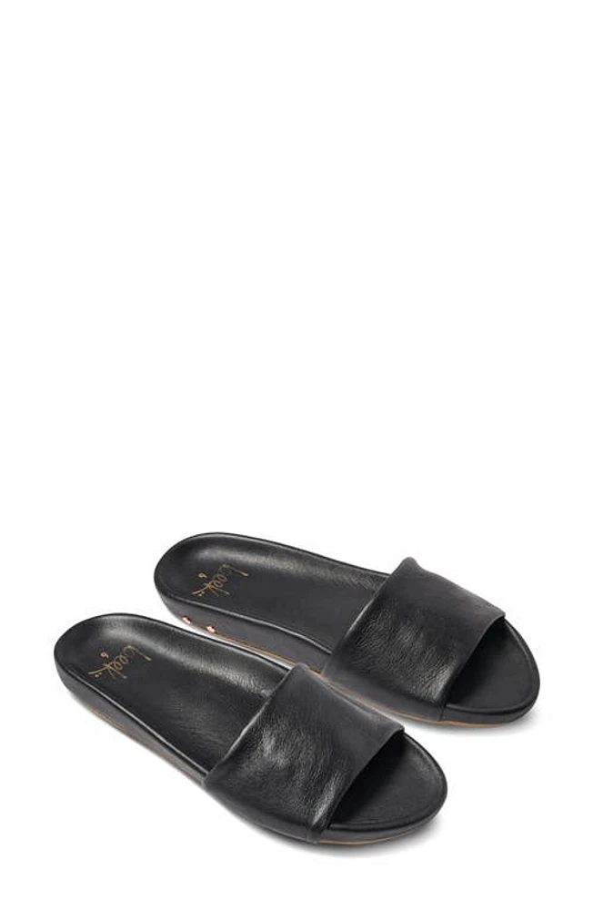 Beek Gallito Slide Sandal at Nordstrom,