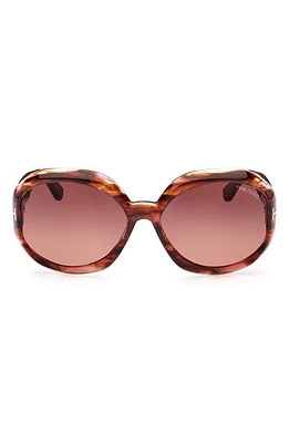 TOM FORD Georgia-02 62mm Gradient Oversize Round Sunglasses in Coloured Havana /Brown at Nordstrom