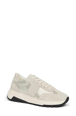 PAIGE Maya Mixed Media Sneaker Grey/Champagne at Nordstrom,