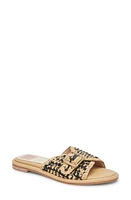 Dolce Vita Alonzo Raffia Slide Sandal at Nordstrom,